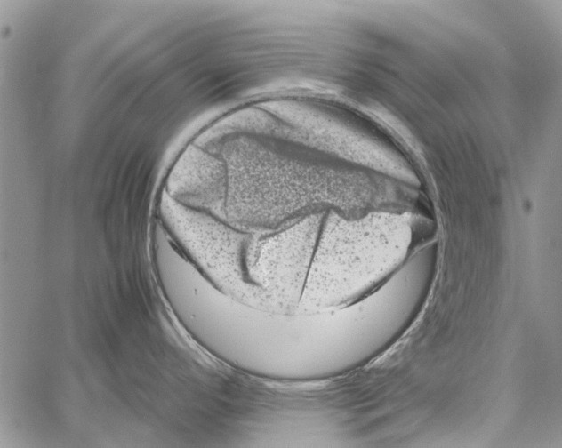 X0000061761296200512302254