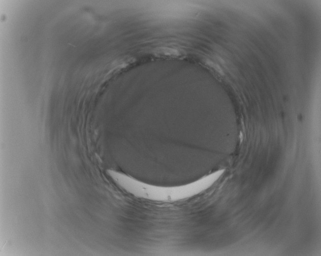 X0000061761297200512302253