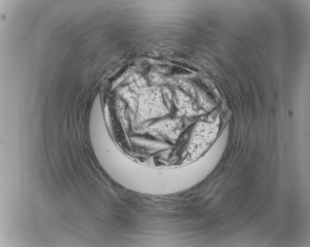 X0000061761298200512302253