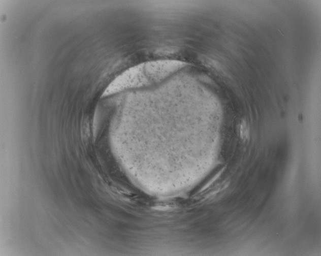 X0000061761299200512302253