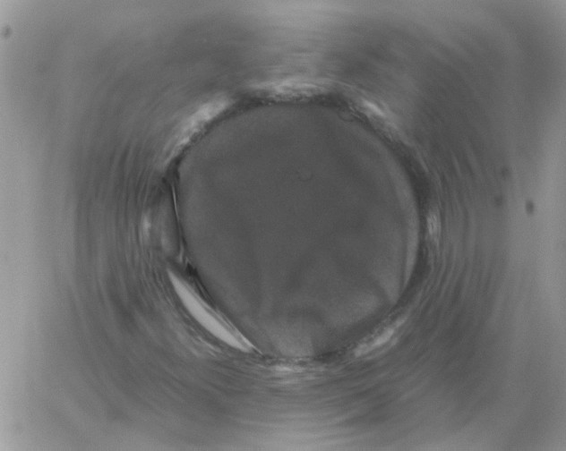 X0000061761300200512302253