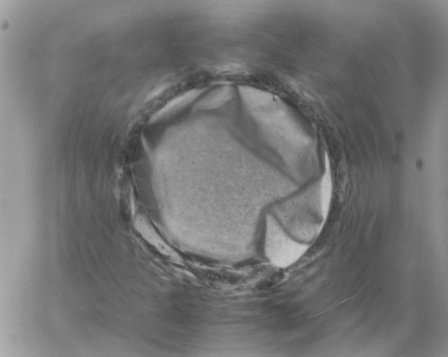 X0000061761301200512302253