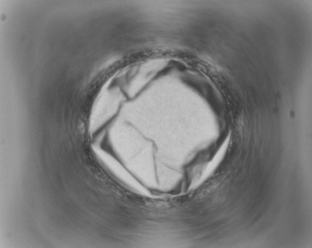 X0000061761302200512302253