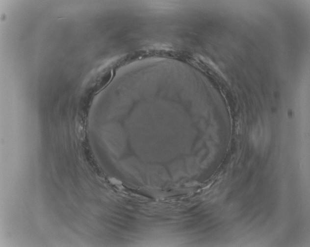 X0000061761303200512302253