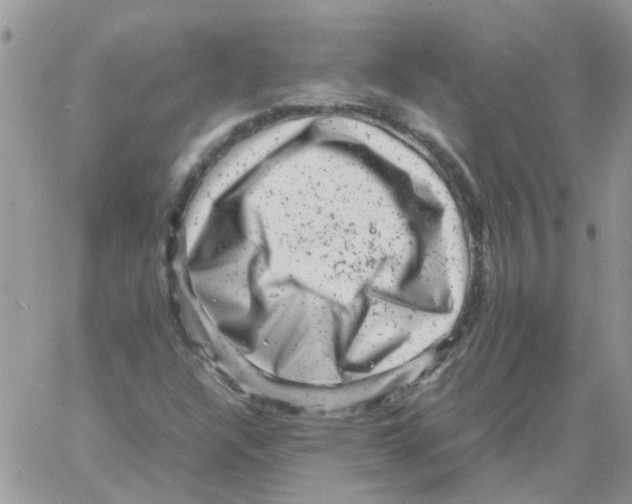 X0000061761304200512302253