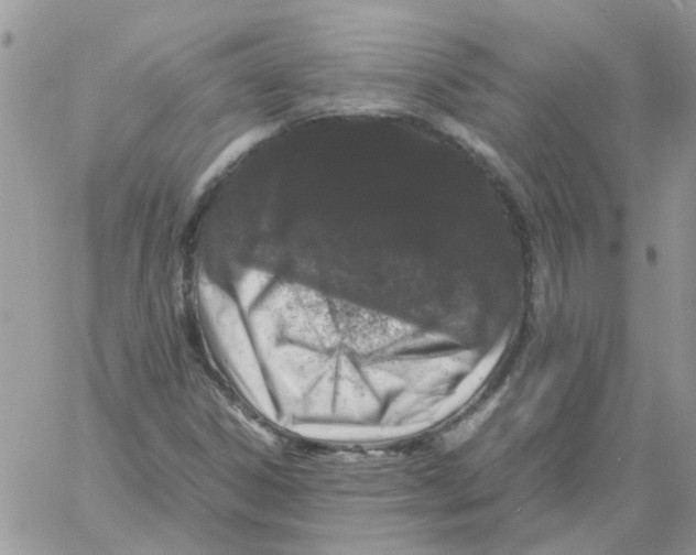 X0000061761306200512302253