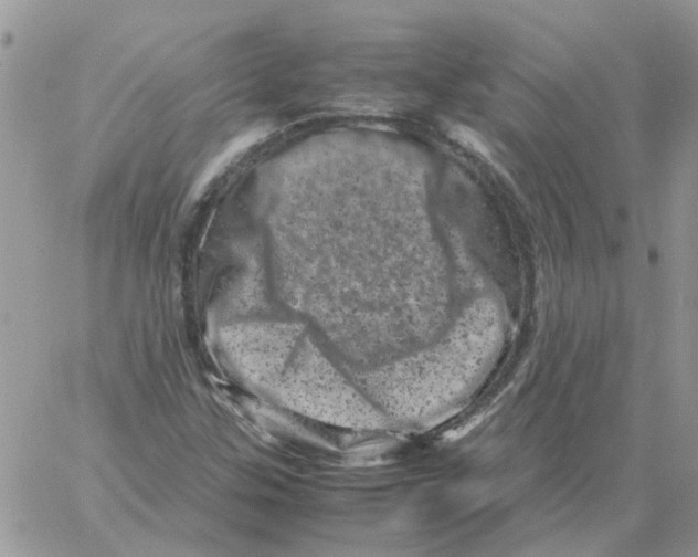 X0000061761307200512302253