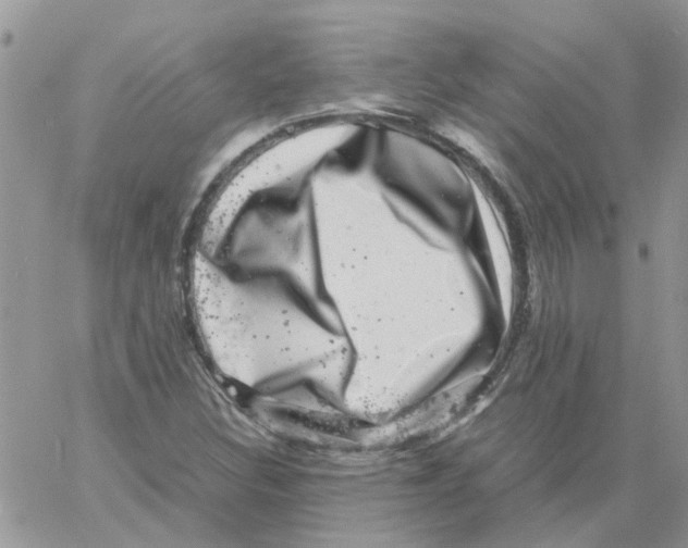 X0000061761308200512302253