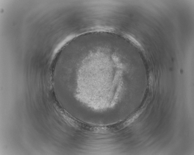 X0000061761310200512302253