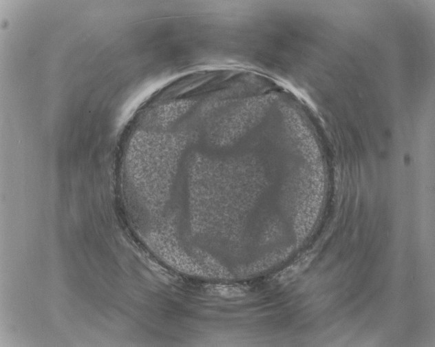 X0000061761311200512302253