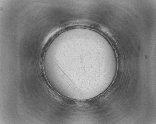 X0000061761312200512302253