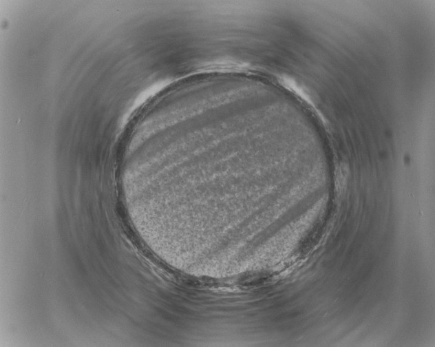 X0000061761315200512302253