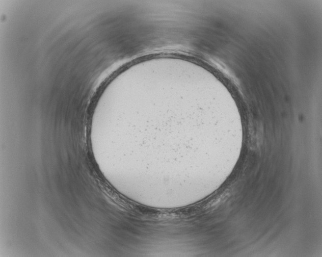 X0000061761316200512302253