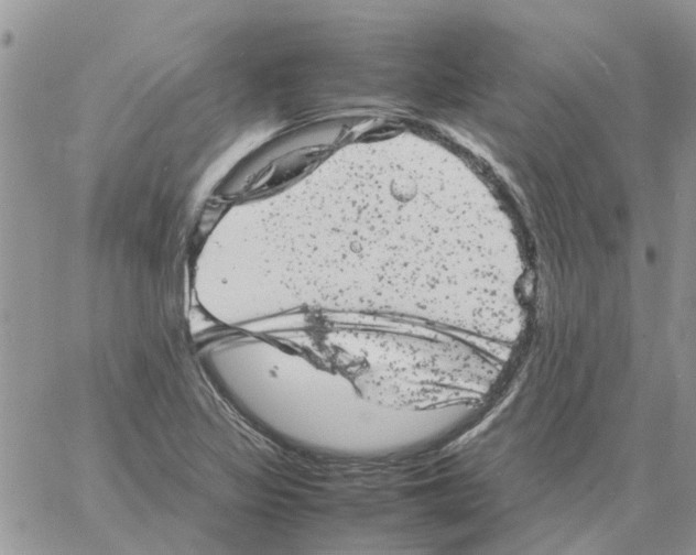 X0000061761317200512302253