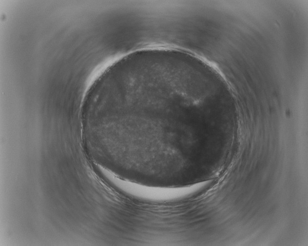 X0000061761319200512302253