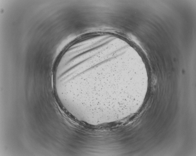 X0000061761320200512302253