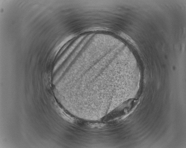 X0000061761321200512302253