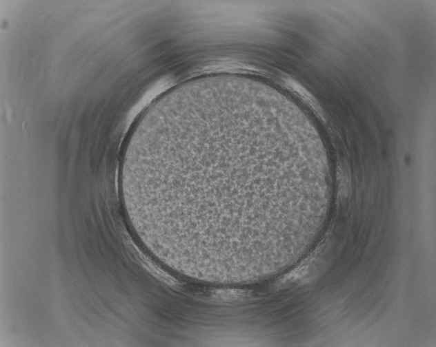 X0000061761322200512302253