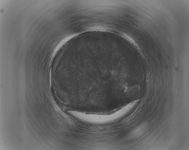 X0000061761323200512302253