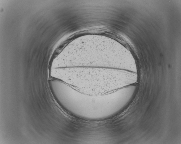 X0000061761324200512302253