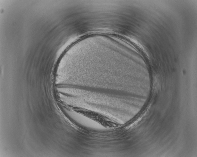 X0000061761325200512302253