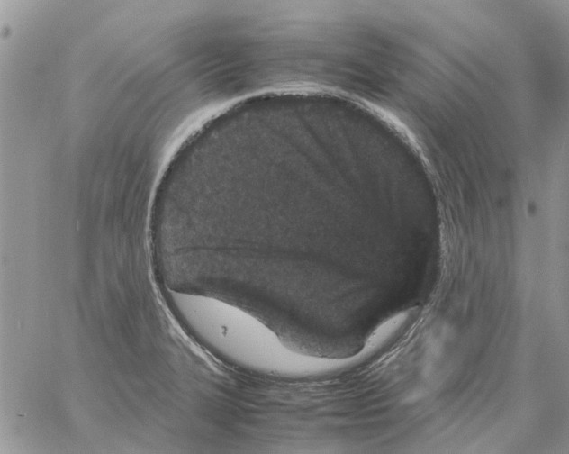 X0000061761327200512302253