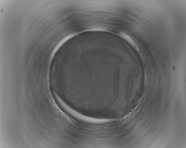 X0000061761331200512302253