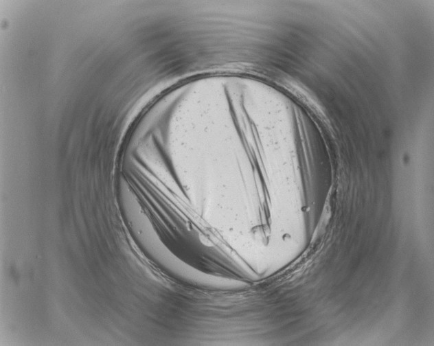 X0000061761332200512302253