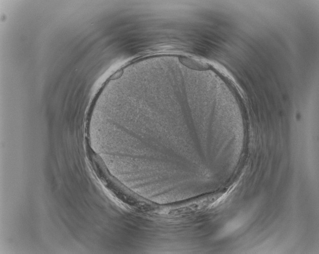 X0000061761333200512302253