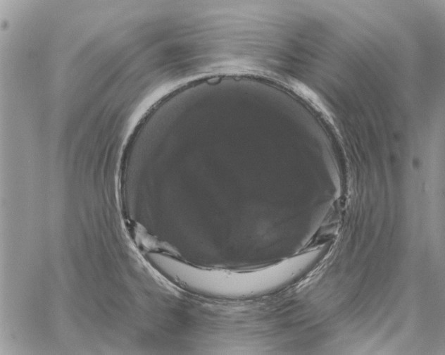 X0000061761334200512302253