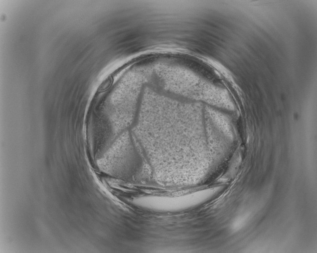 X0000061761335200512302253