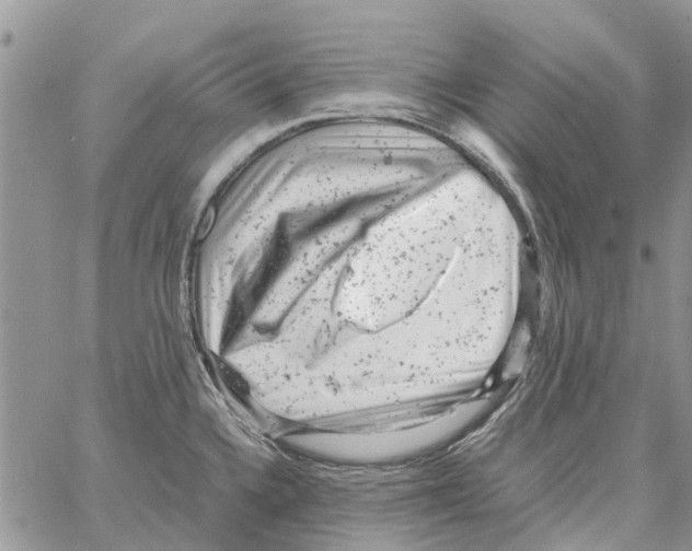 X0000061761336200512302253