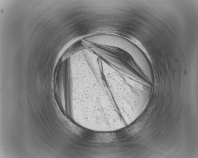 X0000061761339200512302254