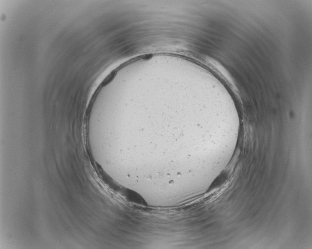 X0000061761340200512302254