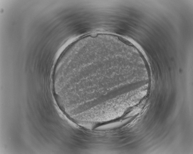 X0000061761341200512302254