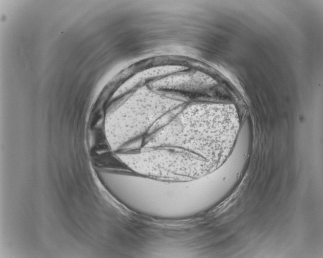 X0000061761342200512302254