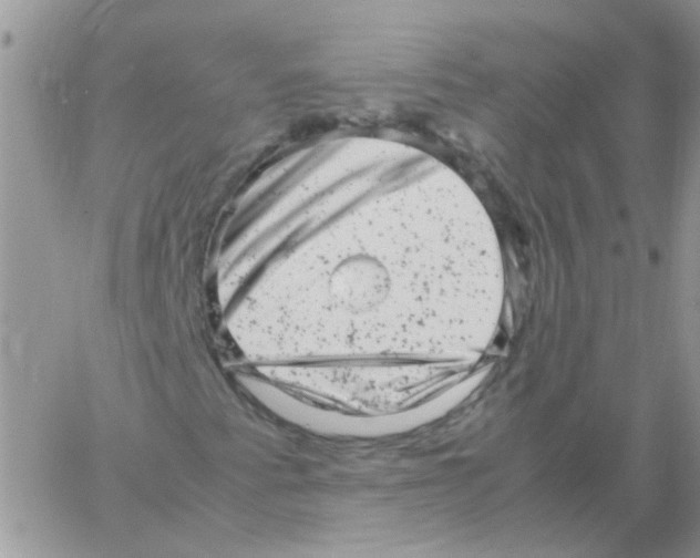 X0000061761345200512302253