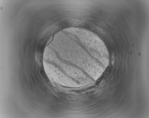 X0000061761346200512302253