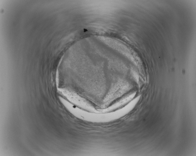 X0000061761347200512302253