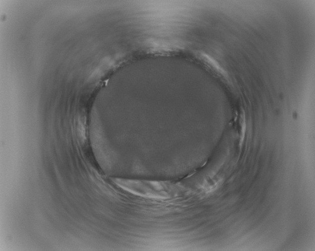 X0000061761348200512302253