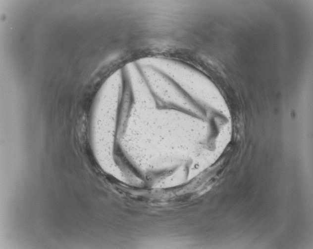 X0000061761349200512302253