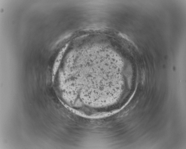 X0000061761350200512302253