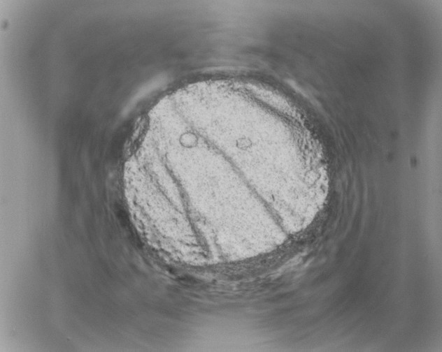 X0000061761351200512302253