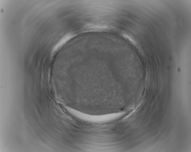 X0000061761354200512302253