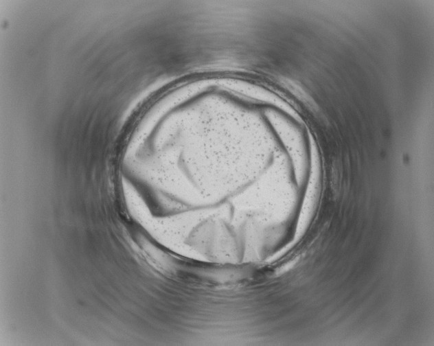 X0000061761356200512302253