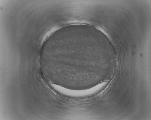 X0000061761357200512302253