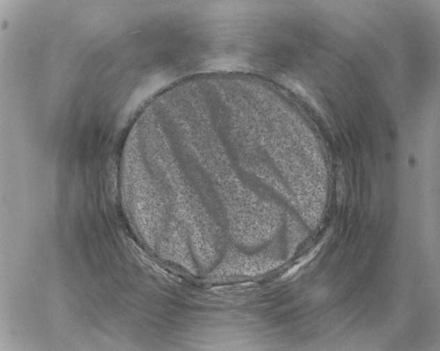 X0000061761358200512302253