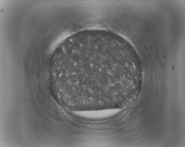 X0000061761359200512302253