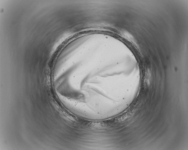 X0000061761360200512302253