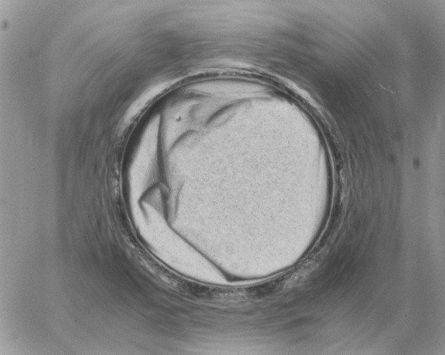 X0000061761363200512302253